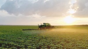 Технология  выращивания  подсолнечника  в  АО "Колос" часть I