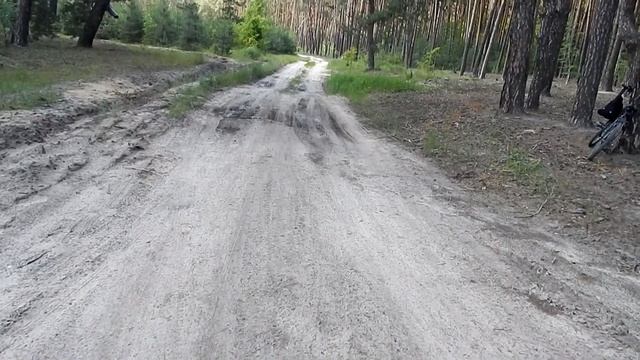 Заблудились в лесу,дикие животные смотреть онлайн