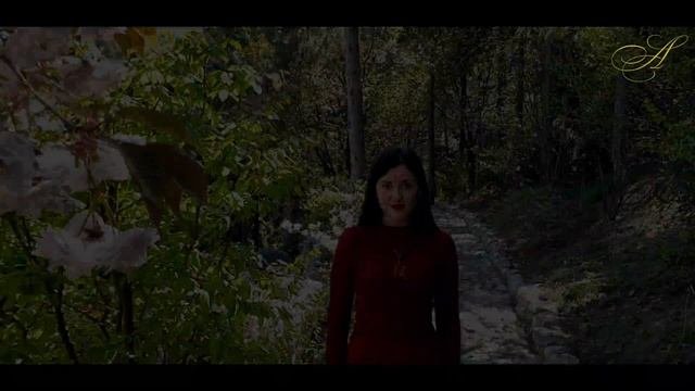Сакура и камелия в ландшафтном дизайне японского сада