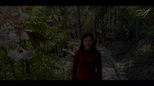 Сакура и камелия в ландшафтном дизайне японского сада