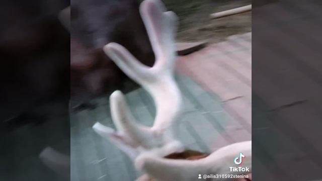 олень