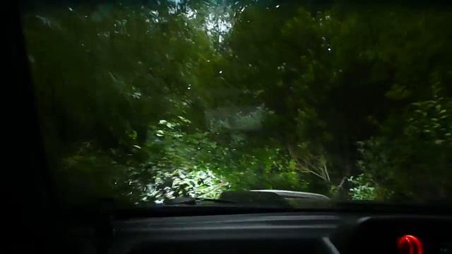 Паджеро 2 и пленка