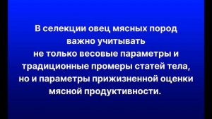 Сколько весит баран-производитель катумской породы овец?