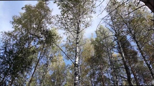 Группа "Сполош". "Сторона сторонушка." г.Макарьев. смотреть онлайн