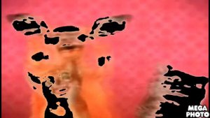 Preview 2 Numa Cat 2 MIDI Effects 2