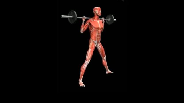 Выпады в стороны со штангой на плечах Barbell squat split side смотреть онлайн