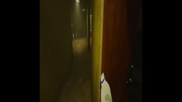 Попробуй не засмеяться 2