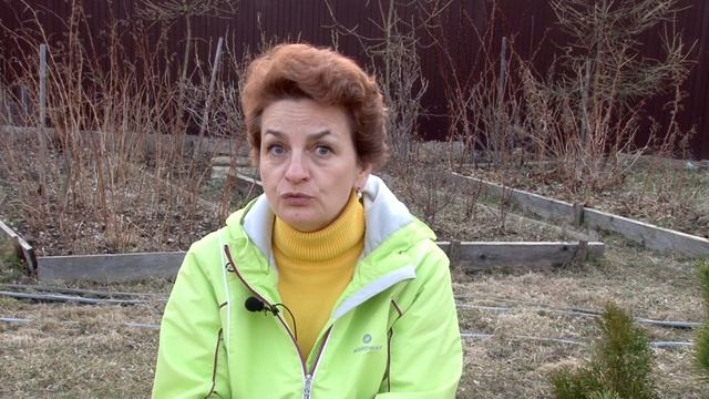 Выбираем сорта редиса для посева в апреле
