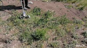 СУПЕР ГАЗОНОКОСИЛКА ИЗ БОЛГАРКИ