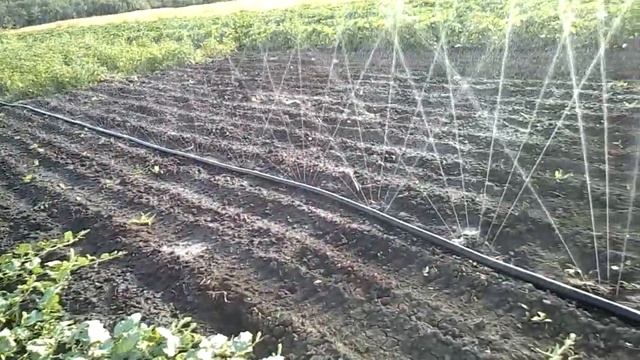 Полив огорода спрей лентой туман смотреть онлайн