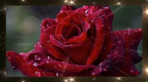 Божественный Юлий... ( Канцлер Ги)