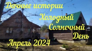 Дачные истории  | Солнечный холодный день | Весна 2024