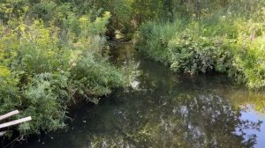 Выход с поисковым магнитом! Магнитная рыбалка.