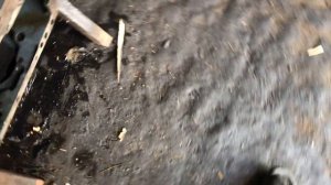 Разобрал КПП  ХТЗ 17221.