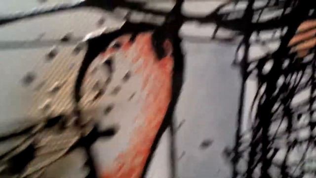 01 21 2012   объект в мастерской Юрия Балашова - мольберт