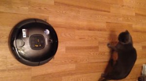 робот пылесос Samsung