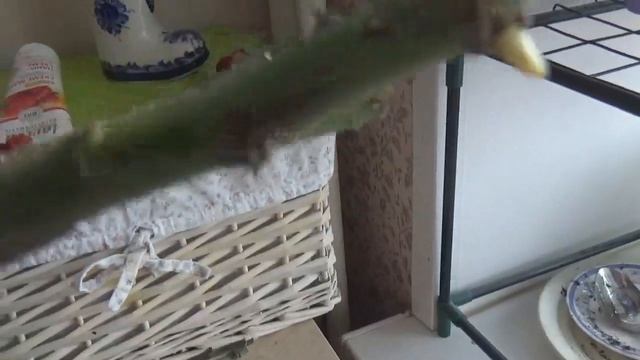 НЕУДАЧНАЯ посылка из Нью Джерси. смотреть онлайн