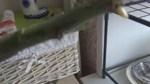 НЕУДАЧНАЯ посылка из Нью Джерси.