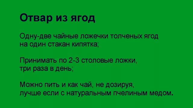 Черника обыкновенная (Vaccínium myrtíllus).