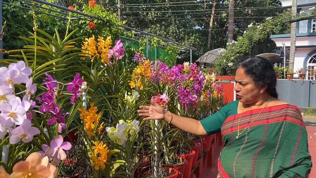 500 ൽ പരം ഓർക്കിഡ്പൂക്കൾ കൊണ്ട് വർണവസന്തം വിരിയിപ്പിച്ച കൊതിപ്പിക്കുന്ന ആനി ചേച്ചിയുടെ സ്വർഗവീട് ❤️ смотреть онлайн