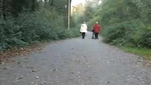 Прогулка по городу к дамбе. Взгляд с коляски. Влог. Vlog. Senden. Germany.