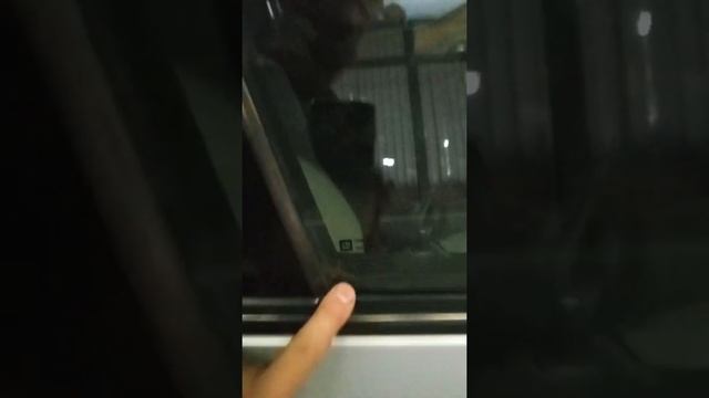 Шевроле Круз, отзыв клиента по работе Воронежского автоподборщика.