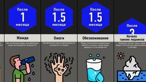 Что, Если Вечное Лето?