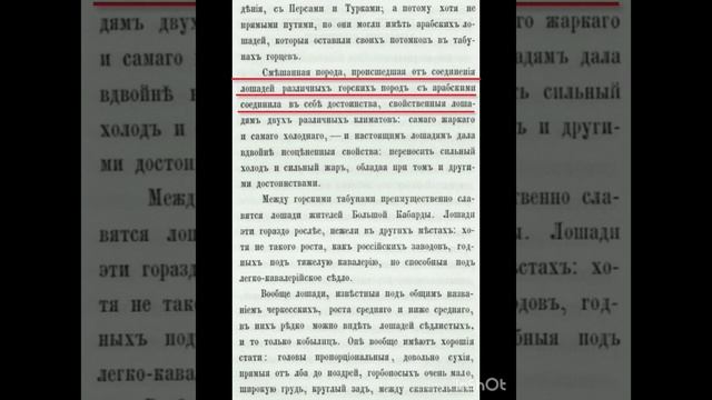 Карачаевская порода и Кабардинская порода