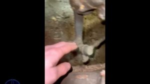 Обзор рулевого механизма Мерседес W126