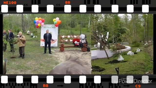 Всероссийский день посадки леса г.Артём 18.05.2018 смотреть онлайн