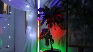 RGB LED торшер, напольный. ТикТок лампа, ночник.