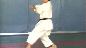 Ката Шотокан - Текки 1-3 и Унсу, Дзитте, Канку шо + бункай от Luca Valdesi