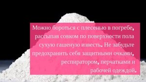 Как избавиться от плесени в погребе