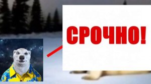 Мем из 2026 года разоблачение! |медведь 2026