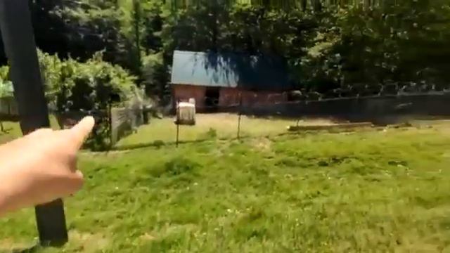 1 гектар для инвестиций смотреть онлайн