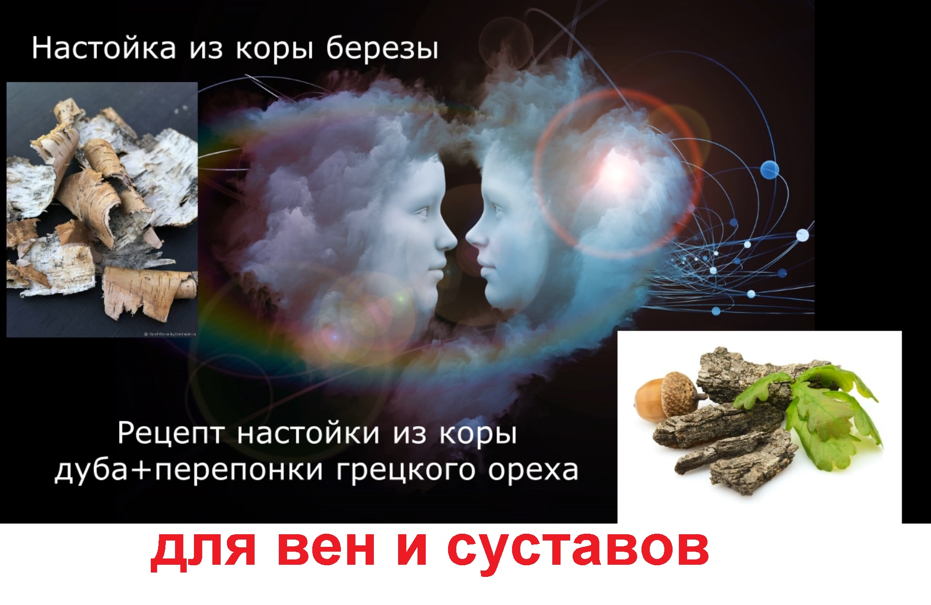Настойка для лечения суставов и вен из коры березы