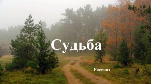 Судьба.. (рассказ)