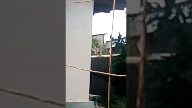 Ходили в заброшеный двор, где повесился человек смотреть онлайн