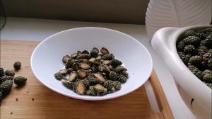 ПРИГОТОВЛЕНИЕ "ЖИВОГО" СИРОПА ИЗ СОСНОВЫХ ШИШЕК