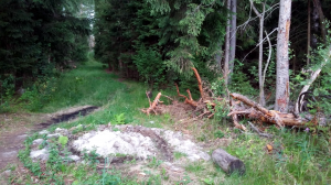 10.07.2023 10:40 [Пытаюсь дойти до озера Панино прямым путем]