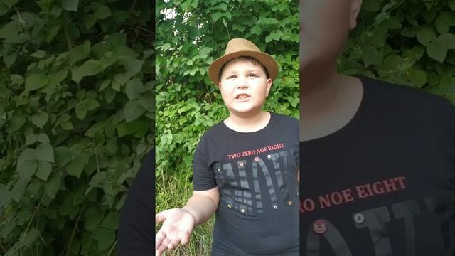 А. Л. Барто "Серёжа учит уроки" . Читает Магометов Нальбий, 8 лет, г Черкесск смотреть онлайн