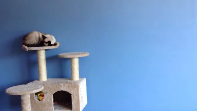 Max is going home now смотреть онлайн