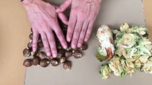 Как приготовить плод ХЛЕБНОГО ДЕРЕВА