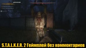 S.T.A.L.K.E.R. 2 Геймплей без комментариев