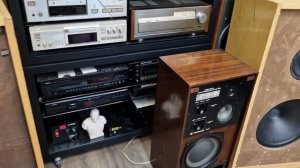 обзор колонок tesla