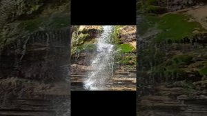 Дикая природа Сочи. Водопад Игристый.