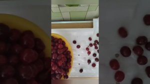?как заморозить вишню / черешню на зиму заморозка вишни черешни замороженная вишня черешня