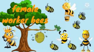 How do bees make honey for kids | Honey bees make honey from the flowers | Process of making honey