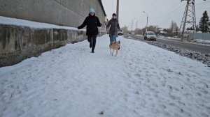 Протяни руку помощи тому, кто нуждается в ней! | Омские хвостики