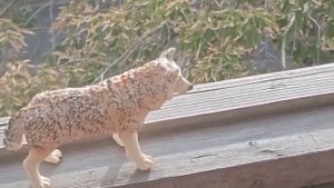 топ 30 идей для schleich блогеров/ идеи для видео с schleich 🌙